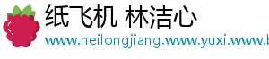 纸飞机 林洁心